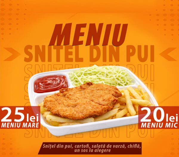 Meniu Snitel Pui MARE